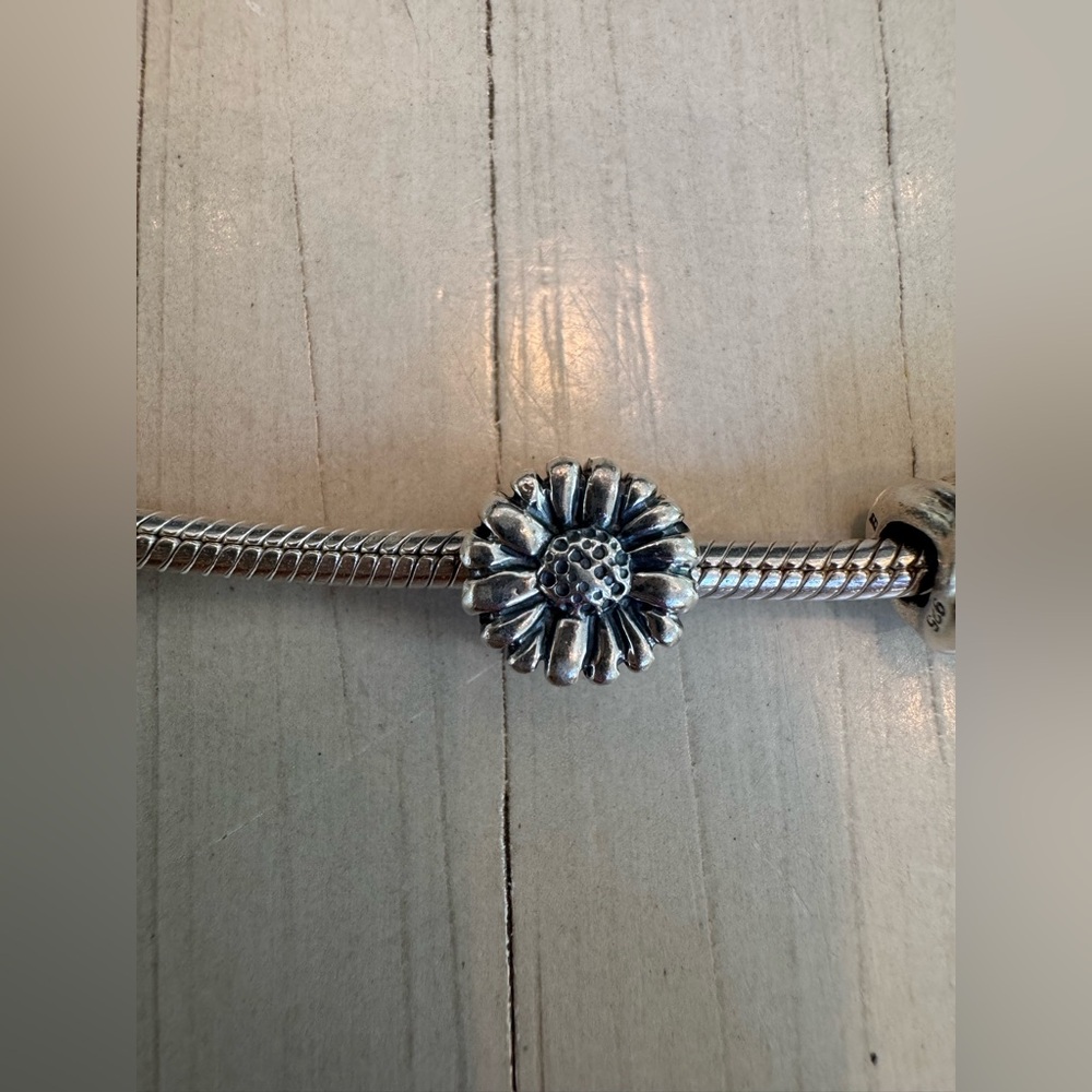 Biagi/Pandora 925 Sterling Silver Snake Bracelet with Vintage Charms - Picture 9 of 15